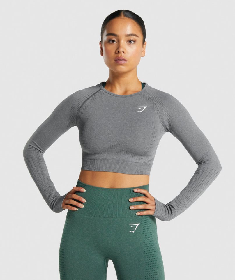 Women\'s Gymshark Vital Seamless 2.0 Long Sleeve Cropped Tops Grey | CA 0N7361